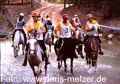 Maria Mauritsch im Hintergrund