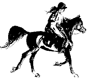 Distanzreiterin